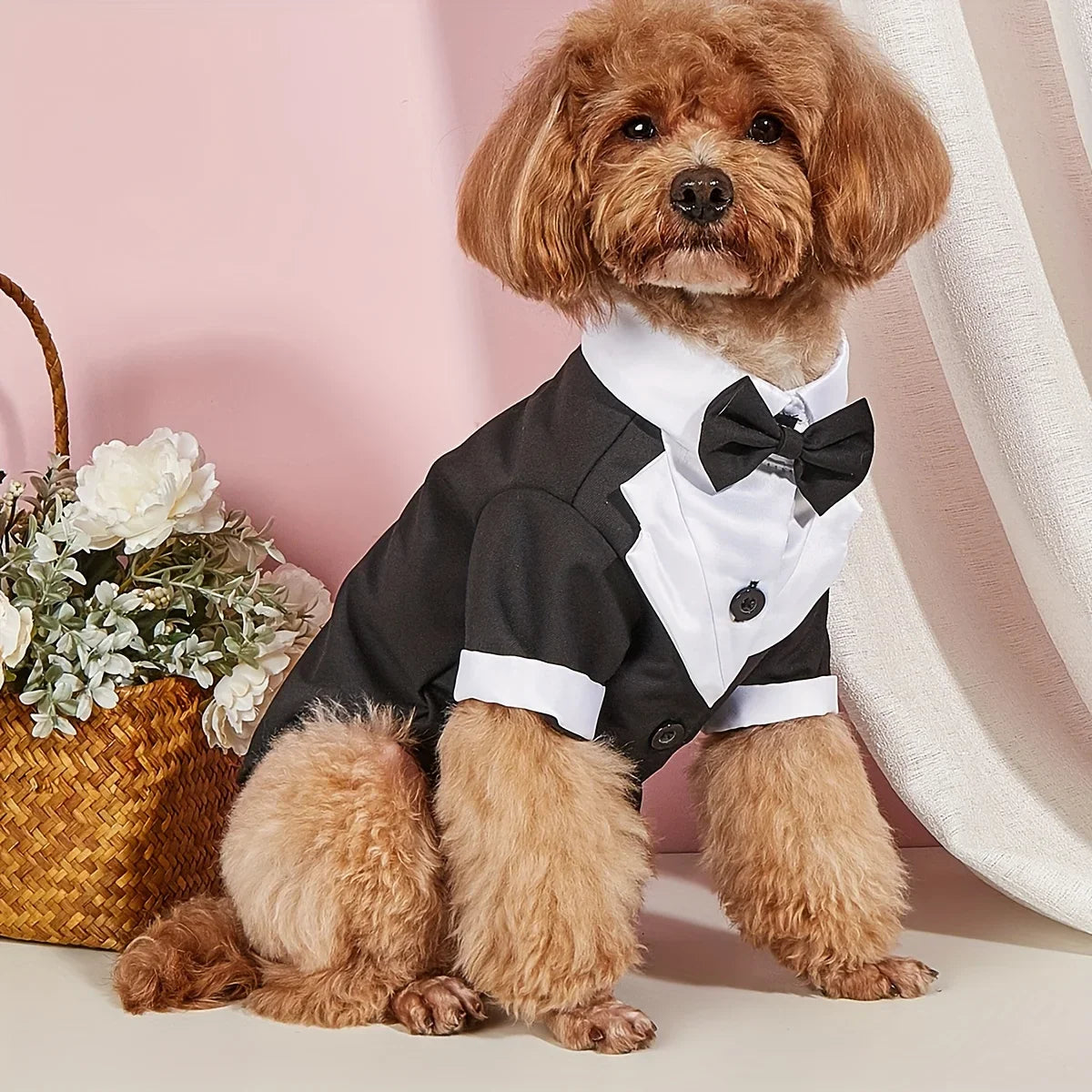 Dog Apparel
